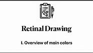 Retinal Drawing. I. Overview of main colors