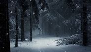 Winter Snow Forest Live Wallpaper