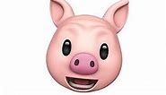 Pig(animated live emoji) I PHONE X