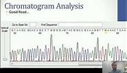 Chromatogram Analysis of 16S Gene after Sanger Sequencing