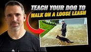 Teaching Your Dog How to Walk Nicely on Leash!