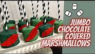 Jumbo Chocolate Dipped Marshmallows | Peter Pan themed treats