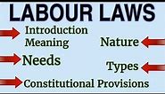 Labour Law Introduction: Meaning, Types, Nature, Need & Constitutional Provisions of Labour Law