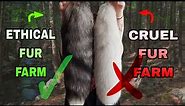 Watch BEFORE you BUY A TAIL: HOW TO SPOT a fox tail from a CRUEL FUR FARM | Tips for Therians