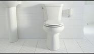 What is a Dual Flush Toilet - Modern, Water Saving Toilets