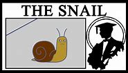 What Is The Immortal Snail?