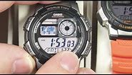 "Casio Royale" AE-1200 and AE -1000 In Depth Review