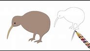 How to Draw a Kiwi Bird - Easy Drawing & Coloring