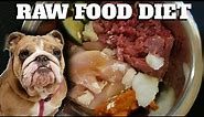 Raw Food Diet For Dogs! English Bulldogs Eating RAW MEAT