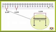 How to Read a Metric Ruler? | Centimetre and Millimetre | Math For Kids | Educational Video For Kids