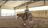 HOW TO GET THE PERFECT REINING STOP WITH YOUR HORSE