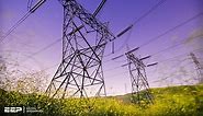HV Transmission Line Components (Towers, Conductors, Substations, ROWs and Roads) | EEP