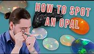 How To Spot An Opal | ID Gems Like A Pro