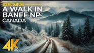 Incredible Canadian Nature in 4K UHD - Scenic 7 HRS Walk in Banff National Park