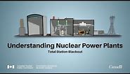 Understanding Nuclear Power Plants: Total Station Blackout