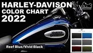 2022 Harley Davidson Model Lineup Color Chart and Pinstriping!