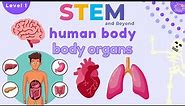 Human Body Organs | Science For Kids | STEM Home Learning