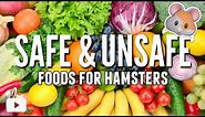 SAFE and UNSAFE foods for hamsters!