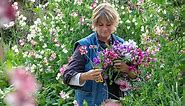 how to plant, grow & care for sweet peas