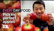 How to pick the perfect apple? | ABC Australia