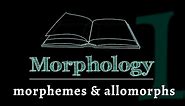 Grammar of Words: Morphemes & Allomorphs (Lesson 1 of 7)