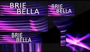 WWE 2K18 PC: Brie Bella 2018 GFX