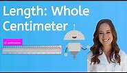 How to Measure Centimeters