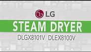 LG Mega Capacity Steam Dryer - DLGX8101V DLEX8100V
