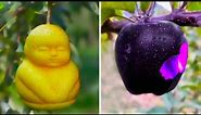 20 Most Amazing & Rare Fruits In The World