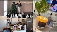 DEEP CLEANING AND DECLUTTERING my depression apartment