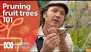How to get started pruning fruit trees | Growing Fruit and Vegies | Gardening Australia