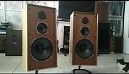 Celestion Rola Ditton 44 vintage system speakers from 77'+ Belgium tube amplifier 4xEl34 from 68'
