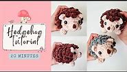 Crochet Hedgehog Tutorial 🦔 Fluffy Amigurumi | Step-by-Step DIY Craft
