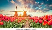 This Is Why April & May Is The Best Time To Visit The Netherlands