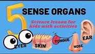 5 Sense Organs | Science for Kids | 5 Sense Organs and Their Functions