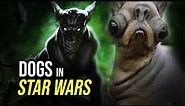 Top 5 DOGS in Star Wars