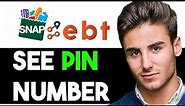 HOW TO SEE YOUR EBT PIN NUMBER 2024! (FULL GUIDE)