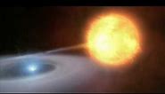 Novae and Type Ia Supernovae