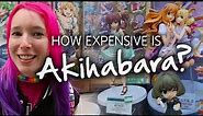 How Expensive is Akihabara?