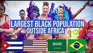 20 Countries with the LARGEST African Populations Outside Africa 2022