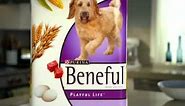 Beneful Commercial