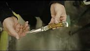 Buck Custom Knife Shop - The 110 Folding Hunter