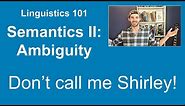 Ambiguity: Intro to Linguistics [Video 9]