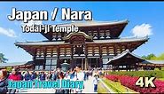 [4K] Travel Diary to "Todaiji Temple" in Nara | Japan 📗BGM ver.