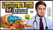 How To Care For A Dog Throwing Up? | Types Of Dog Vomit And What They Mean | Veterinarian Explains