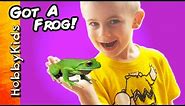 HobbyFrog Buys a Frog From Petco