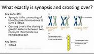 Synapsis and Crossing Over