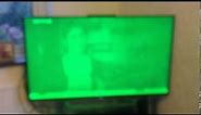 Sony Bravia KD 55X8509C Green Screen Problem
