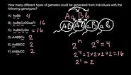 Gametes and genotypes simple formula for exam