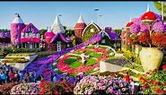 Miracle Garden Dubai 2022 || The world’s largest natural flower garden